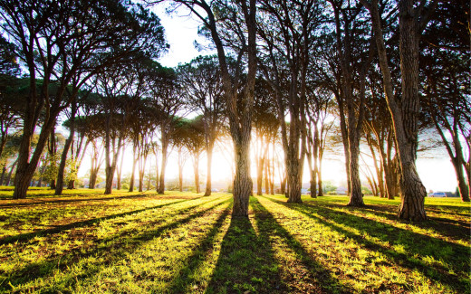 503403 (a): :2560x1600